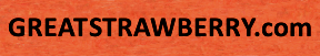 greatstrawberry.com